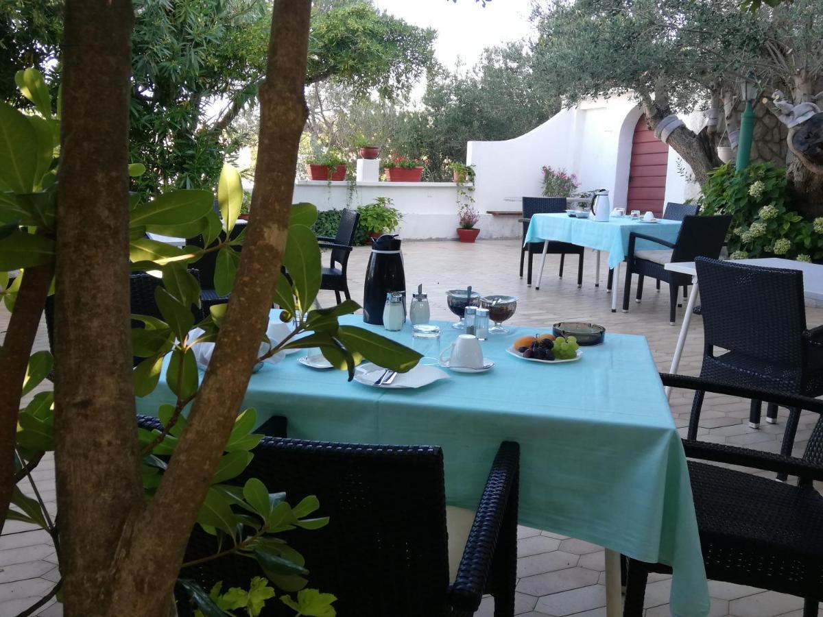 Riviera Rooms And Apartments Palit المظهر الخارجي الصورة