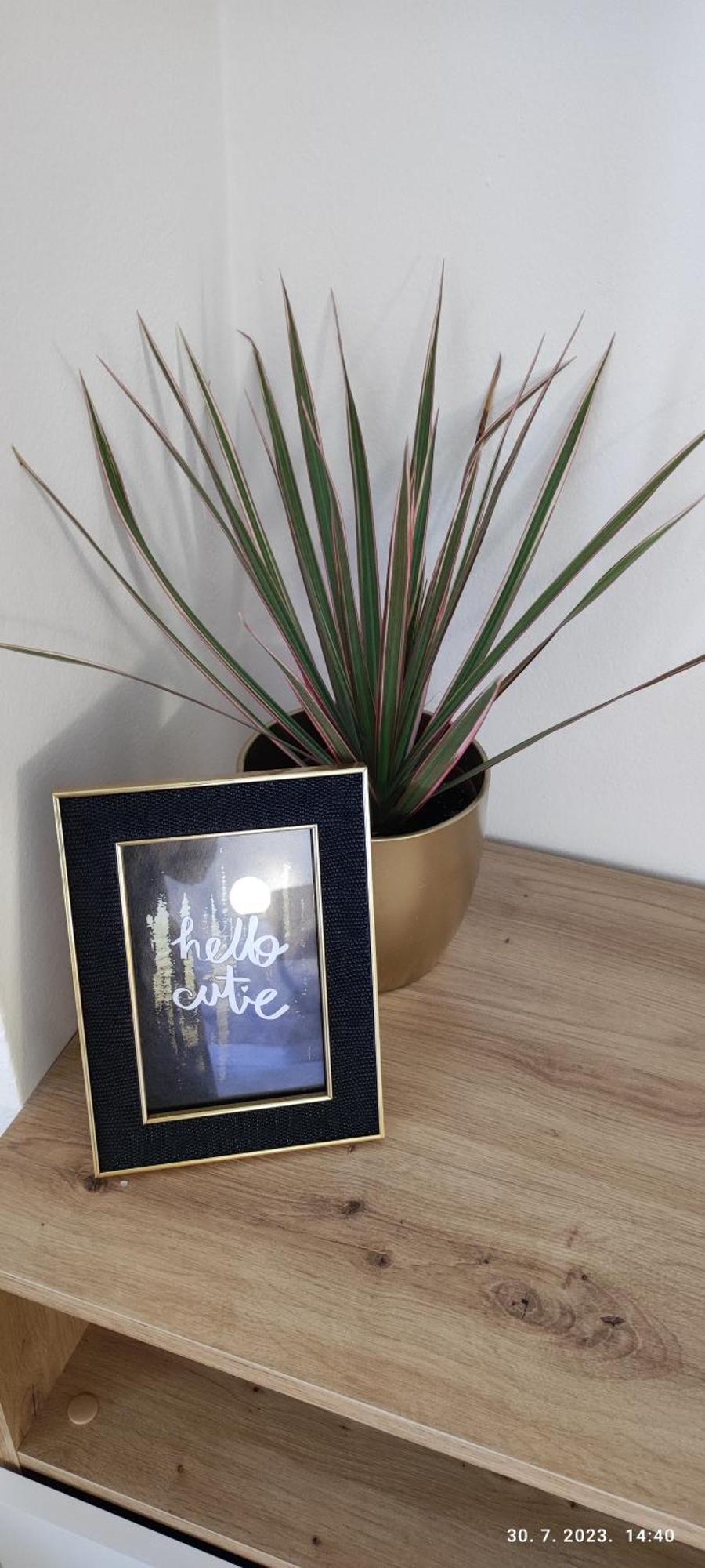 Riviera Rooms And Apartments Palit المظهر الخارجي الصورة